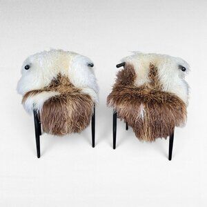 Set of 2 Genuine Icelandic Sheepskin Rugs Copper Ecru Curly Wool 45" x 30"